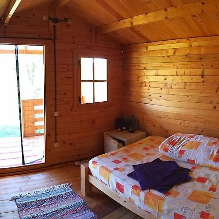 Retezat Retreat - Wood Cabin Clopotiva Exterior photo