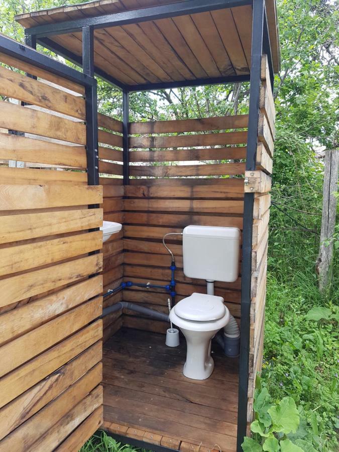 Retezat Retreat - Wood Cabin Clopotiva Exterior photo