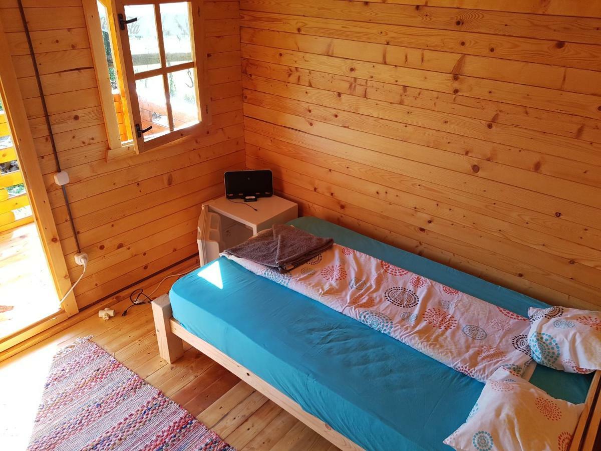 Retezat Retreat - Wood Cabin Clopotiva Exterior photo