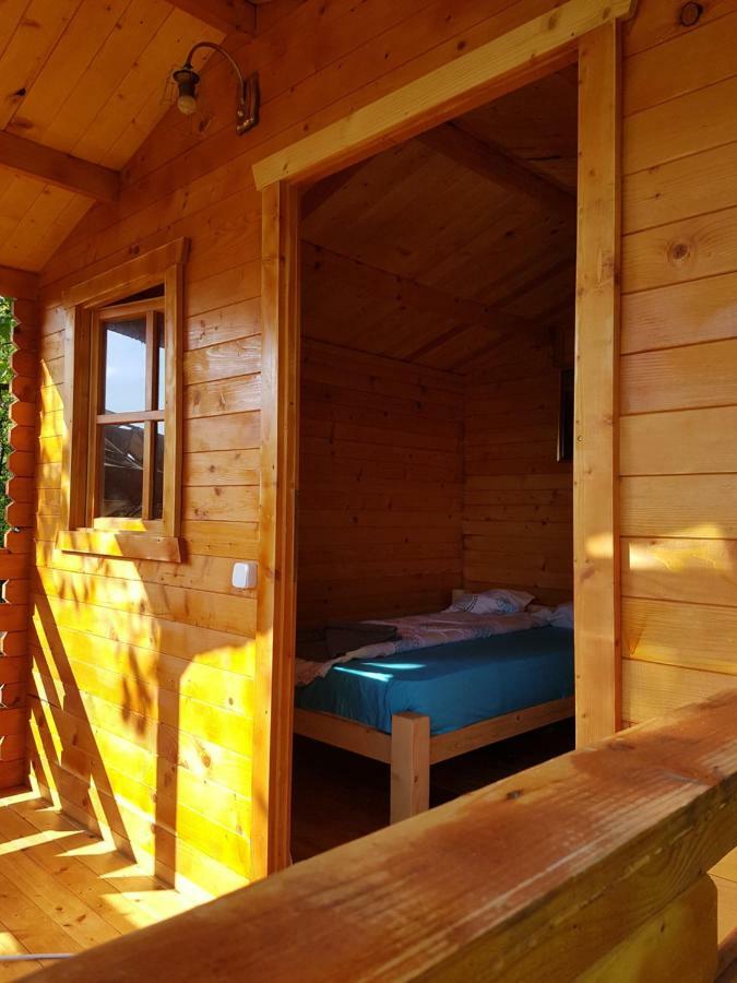 Retezat Retreat - Wood Cabin Clopotiva Exterior photo